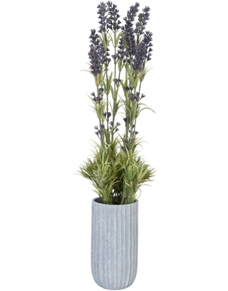 Deko Lavendel im Topf &Oslash; 7x52 cm