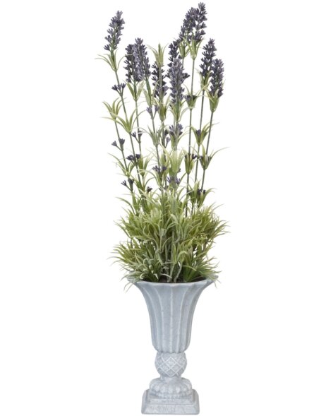 Deco Lavendel in Pot &oslash; 10x55 cm
