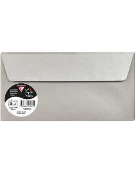 5 envelopes Pollen 110x220 mm - silver