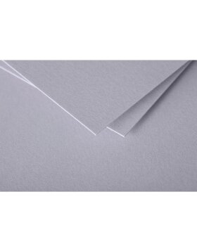 50 sheets of paper pollen, DIN A4, 120g coal gray