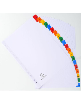Bedruckte Register weißer Karton 160g verstärkte farbige Taben 20-teilig A4 Weiß