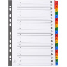 Bedruckte Register weißer Karton 160g verstärkte farbige Taben 20-teilig A4 Weiß