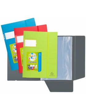 Campus file sheet PP 30 shell crystal sorted assorted colors