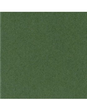 HNFD Fertig Passepartout 13 x 18 cm auf 9 x 13 cm grün