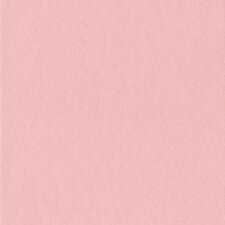 Passepartout acabado 18 x 24 cm sobre rosa vieja de 13 x 18 cm