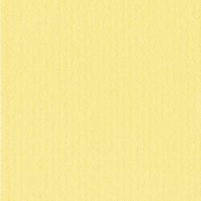 Afgewerkt passepartout 13 x 18 cm op 9 x 13 cm geel