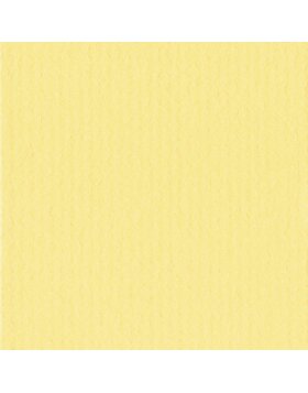 Afgewerkt passepartout 20 x 60 cm op 10 x 40 cm geel