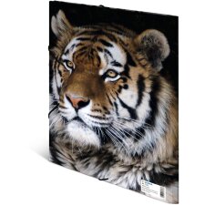 Cartella postale A4 con elastico Leopard