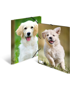 Cartella postale A4 con elastico cane