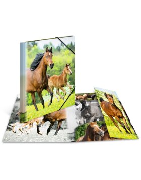Postmappe A4 mit Gummizug Pferde