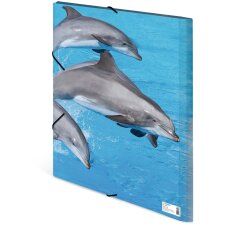 Cartella postale A3 con elastico delfino