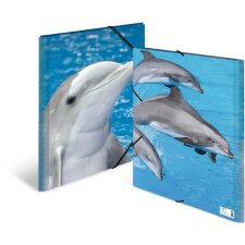 Carpeta A3 con banda elástica delfín