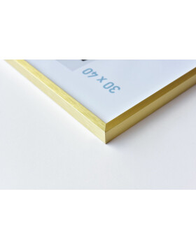 Nielsen Aluminium lijst c2 30x45 cm structuur goud mat