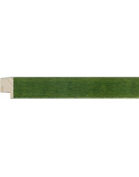 Cadre interchangeable en bois Quadrum 30x45 cm vert