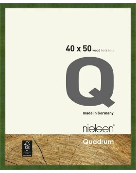 Nielsen Holz-Wechselrahmen Quadrum 40x50 cm grün