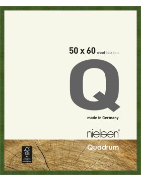 Houten clip-on lijst Quadrum 50x60 cm groen