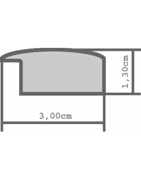 Holzrahmen Modern 21 x 29,7 (A4) cm Acrylglas schwarz