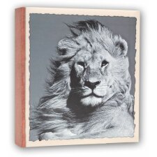 Album stockowy WILD LIFE 100 zdjęć 11x16 cm
