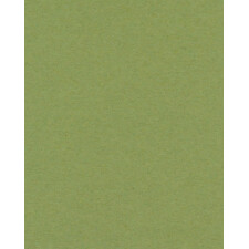 Passepartout 10x15 cm - 7x10 cm Verde Salvia