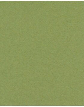 Mat 18x24 cm - 10x15 cm Verde Salvia