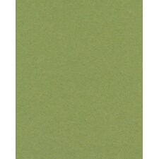 Passepartout 20x40 cm - 10x30 cm Verde Salvia