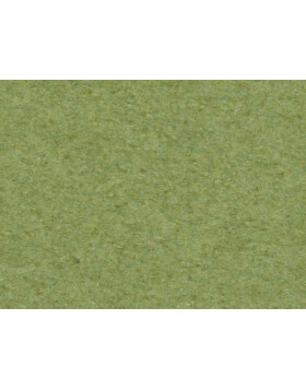 Passepartout 21x29,7 cm - 13x18 cm Verde Salvia