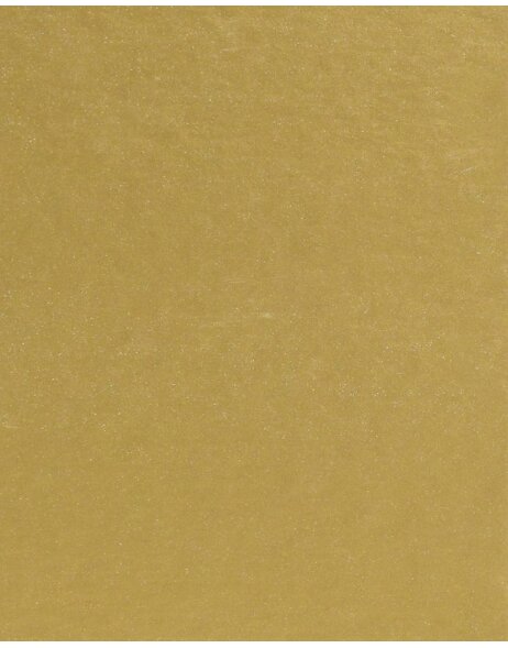Passepartout 21x29,7 cm - 13x18 cm Gold matt