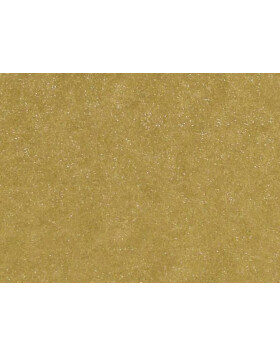Passepartout 24x30 cm - 15x20 cm Gold matt