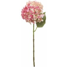 Clayre & Eef 6PL0173P Fleur artificielle rose 57 cm