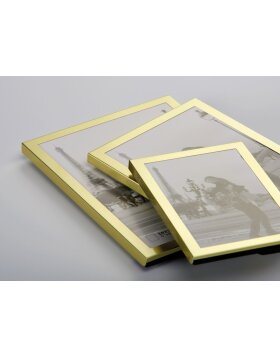 Marco de fotos Walther Karla Marco de aluminio dorado y plateado