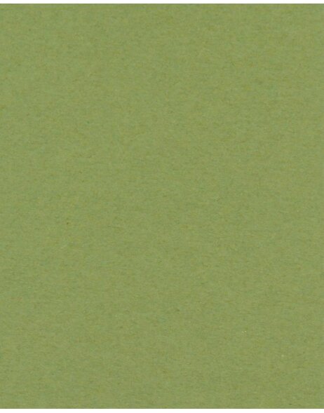 Bevel cut mat green 40 sizes Verde Salvia