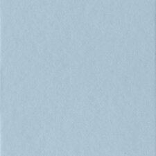 Passepartout Celeste 40 rozmiar jasnoniebieski