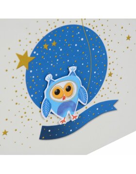Álbum de poesía Little Night Owl