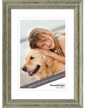 Museum glass wooden frame H740 gray 10x30 cm