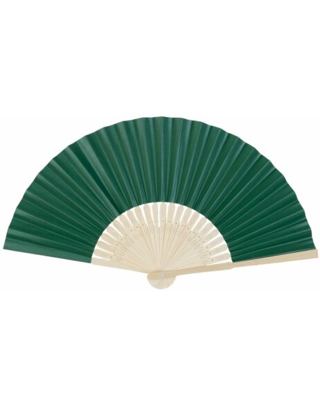 FAW0027 Clayre Eef - paper fan green