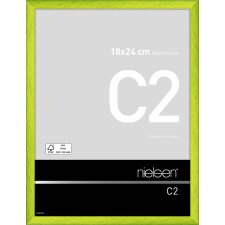 Telaio Nielsen in alluminio C2 18x24 cm verde cyber