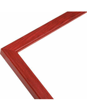 Cornice in legno S41J Deknudt 9x13 cm rosso