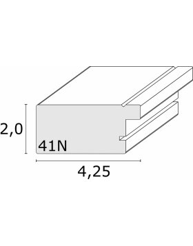Telaio in plastica S41N acciaio-argento 60x80 cm