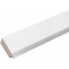 plastic frame S41N white-silver 30x90 cm