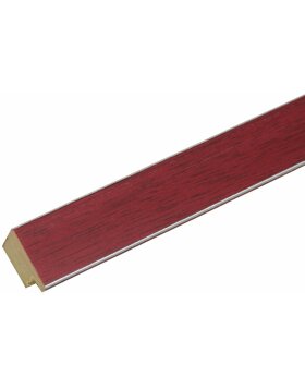 Cornice in plastica S41VK4 rosso 15x30 cm
