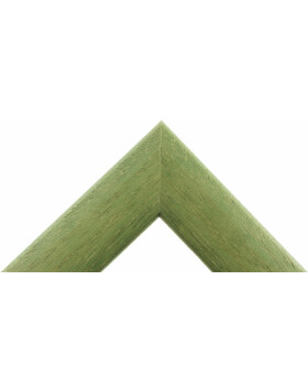 Cadre en bois H220 vert 10x13 cm verre antireflet