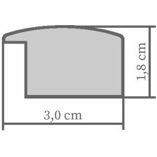 Holzrahmen H220 rot 30x40 cm Antireflexglas