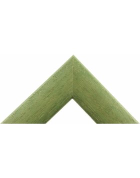 Cadre en bois H220 vert 30x60 cm verre antireflet