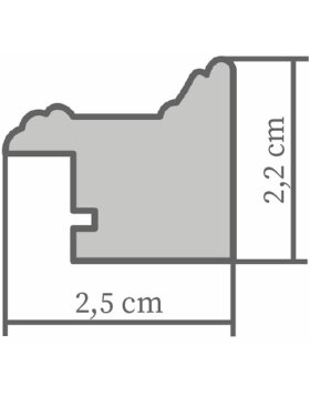Holzrahmen H470 grau 20x30 cm Antireflexglas