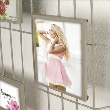 Bird cage frame Vire 3 pictures 10x15 cm