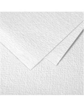5-pack double card pollen 105x148 mm poppy white