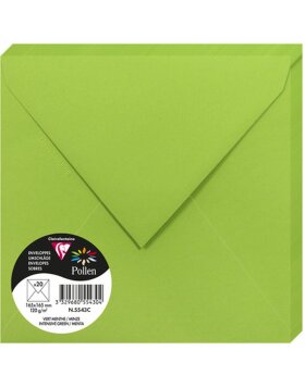 envelope 165x165 mm mint - 5543C