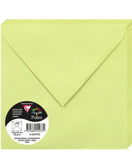 Enveloppes vert bourgeon 165x165 mm - 55473C