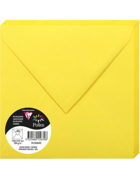Envelopes sunshine yellow 165x165 mm - 5563C