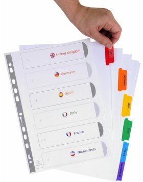 Register aus weißem Karton mit verstärkten farbigen Taben personalisierbar A4 6-teilig